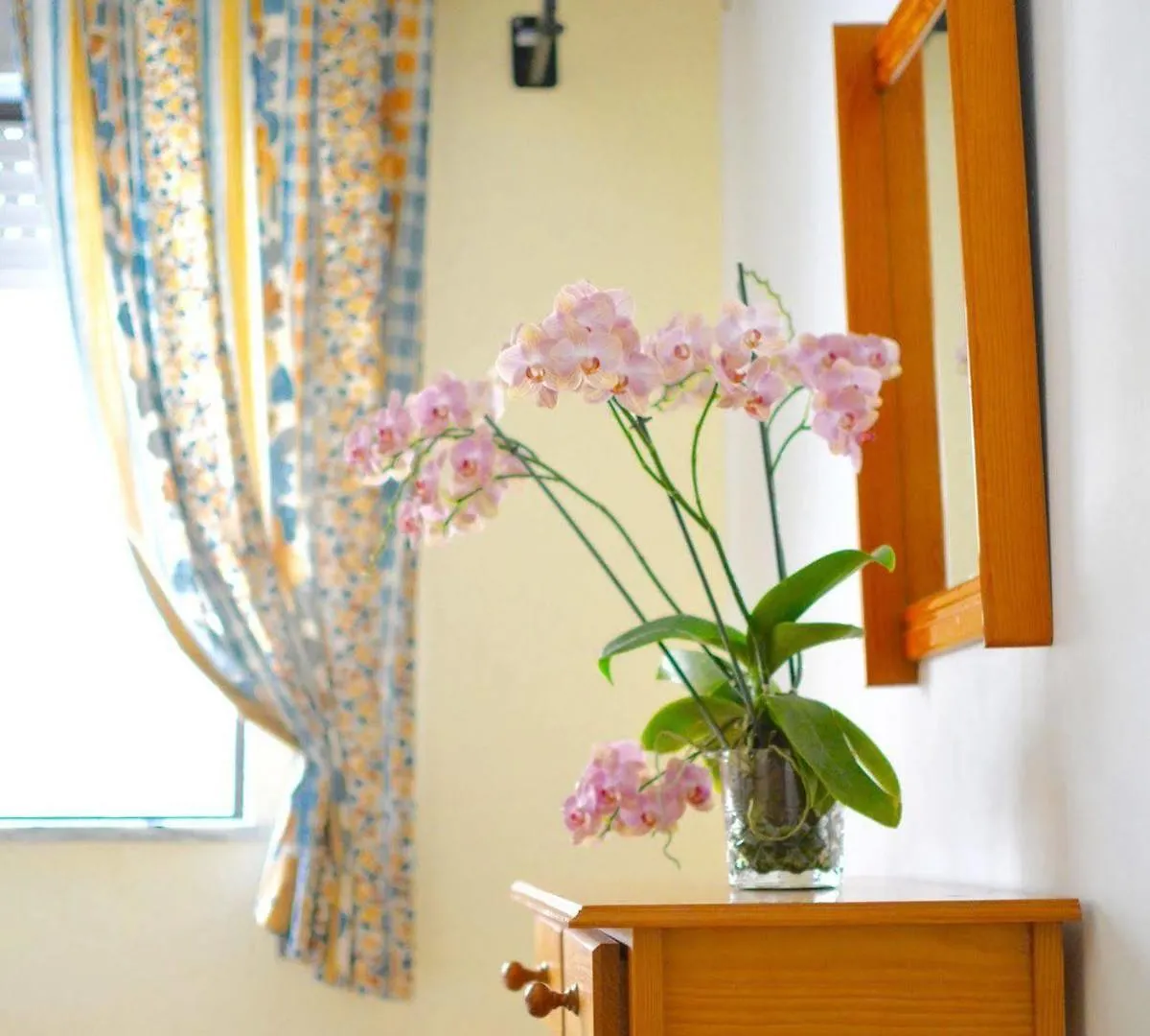Maison d'hôtes Hotel Santa Isabel à Portimão